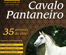 15º LEILÃO CAVALO PANTANEIRO