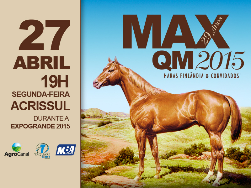 29º LEILÃO MAX QM