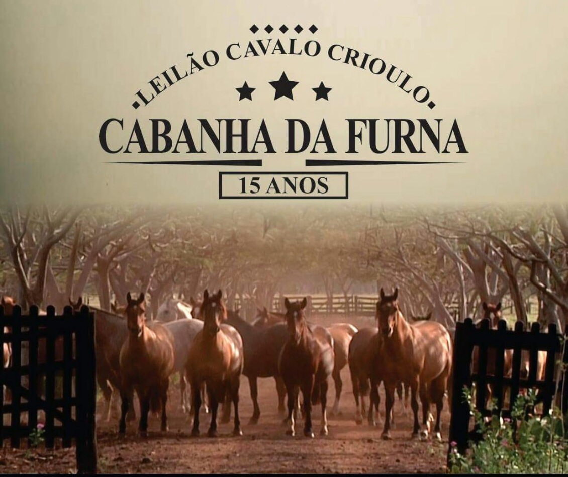 LEILÃO CAVALO CRIOULO 15 ANOS - CABANHA DA FURNA