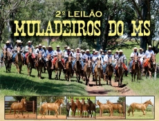 2º LEILÃO MULADEIROS DO MS