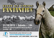 20º LEILÃO ELITE DO CAVALO PANTANEIRO