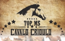 LEILÃO TOP MS - CAVALO CRIOULO