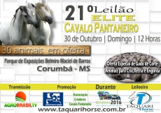 21º LEILÃO ELITE DO CAVALO PANTANEIRO