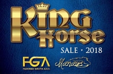LEILÃO KING HORSE 2018