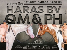 2º LEILÃO HARAS BV - QM & PH