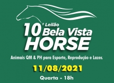 10º LEILÃO BELA VISTA HORSE
