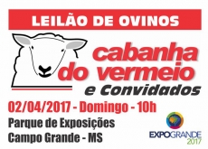 LEILÃO DE OVINOS CABANHA DO VERMEIO