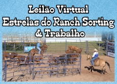 LEILÃO VIRTUAL ESTRELAS DO RANCH SORTING & TRABALHO