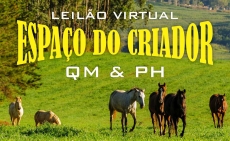 1º LEILÃO VIRTUAL ESPAÃ?O DO CRIADOR