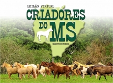 7º LEILÃO VIRTUAL CRIADORES DO MS