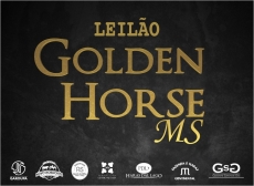 3º LEILAO GOLDEN HORSE MS