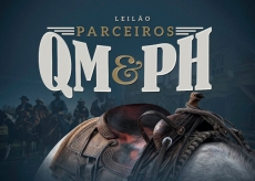 4º LEILAO PARCEIROS DO QM