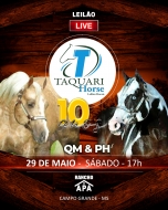 LEILAO TAQUARI HORSE - 10 ANOS