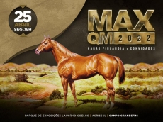 36º LEILÃO MAX QM