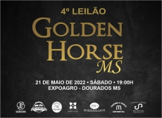 4º LEILÃO GOLDEN HORSE MS