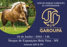 LEILÃO HARAS GAROUPA & CONVIDADOS