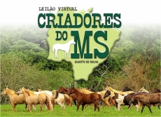 9° LEILÃO VIRTUAL CRIADORES DO MS