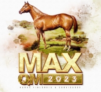 LEILAO MAX QM 2023