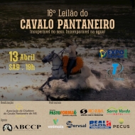 16º LEILÃO CAVALO PANTANEIRO