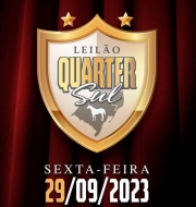 LEILÃO QUARTER SUL