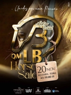 LEILÃO VIRTUAL HORSE SALE QM LB