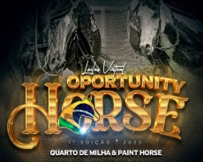 8° LEILÃO VIRTUAL OPORTUNITY HORSE