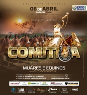 8° LEILÃO COMITIVA