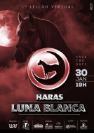 LEILÃO VIRTUAL HARAS LUNA BLANCA LEILÃO VIRTUAL HARAS LUNA BLANCA