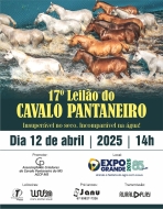 17° LEILÃO DO CAVALO PANTANEIRO 17° LEILÃO DO CAVALO PANTANEIRO