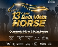 14° LEILÃO BELA VISTA HORSE