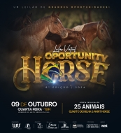 9° LEILÃO VIRTUAL OPORTUNITY HORSE