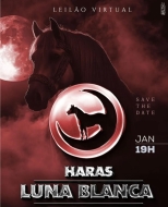 2° LEILÃO VIRTUAL HARAS LUNA BLANCA