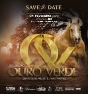 15° LEILÃO OURO VERDE