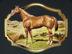 LEILÃO MAX QM - 40 ANOS