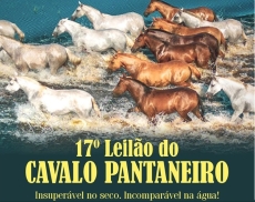 18° LEILÃO CAVALO PANTANEIRO