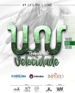 4º LEILÃO LIVE WV VELOCIDADE
