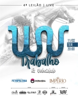 4º LEILÃO LIVE WV TRABALHO