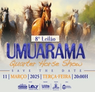 8º LEILÃO VIRTUAL UMUARAMA QUARTER HORSE SHOW