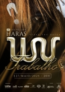 LEILÃO LIVE HARAS WV TRABALHO