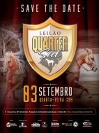 4º LEILÃO QUARTER SUL