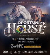 10° LEILÃO VIRTUAL OPORTUNITY HORSE