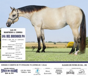 Foto do Lote 003
