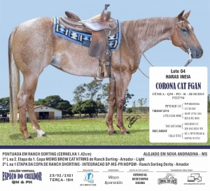Foto do Lote 004