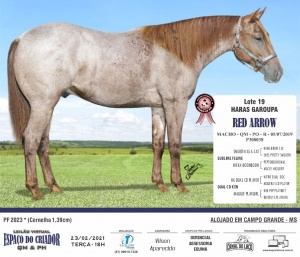Foto do Lote 019