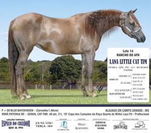 Foto do Lote 014