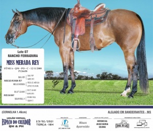 Foto do Lote 007