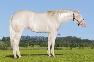 Foto do Lote 18