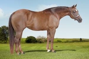 Foto do Lote 25