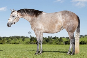 Foto do Lote 32