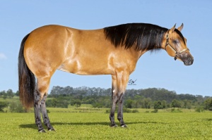 Foto do Lote 39